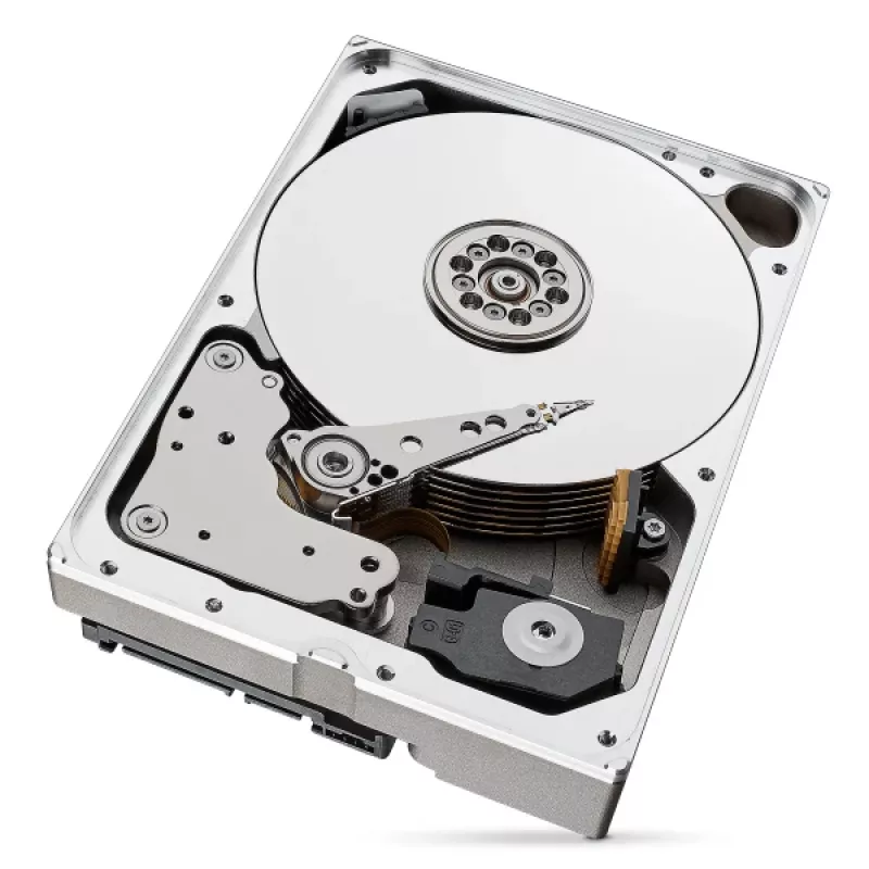 Seagate IronWolf Pro ST10000NT001 sisäinen kiintolevy 10 TB 7200 RPM 256 MB 3,5