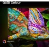 Hisense E7Q PRO 50E7Q PRO 127 cm (50 tuumaa) 4K Ultra HD Smart TV Wi-Fi musta