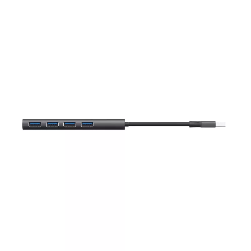 Trust Halyx USB 3.2 Gen 1 (3.1 Gen 1) Type-A 5 Mbit/s musta, harmaa