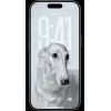 Älypuhelin Apple iPhone 17 Pro 6,3 tuumaa 256GB hopea