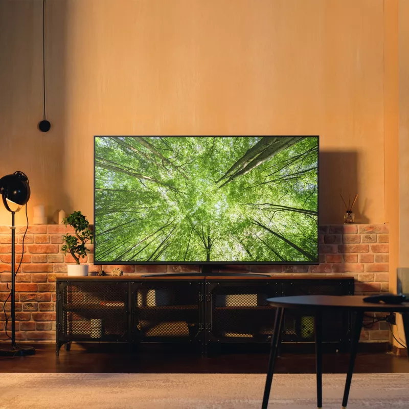 Televisio LG NanoCell 65NANO81A6A 65 inch 4K Ultra HD NanoCell, Direct-LED, webOS, HDR10, 60Hz