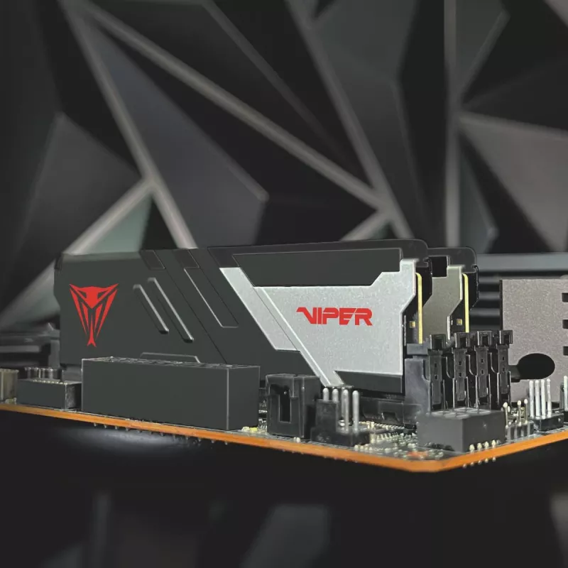 PATRIOT MEMORY muisti – Viper Venom – 32 GB 2 x 16 GB DDR5 7000 MHz
