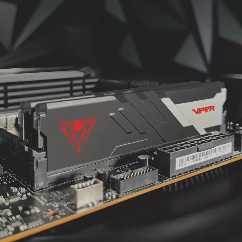PATRIOT MEMORY muisti – Viper Venom – 32 GB 2 x 16 GB DDR5 7000 MHz