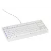 GENESIS Thor 230 TKL näppäimistö pelikäyttöön USB QWERTY US-englanti valkoinen