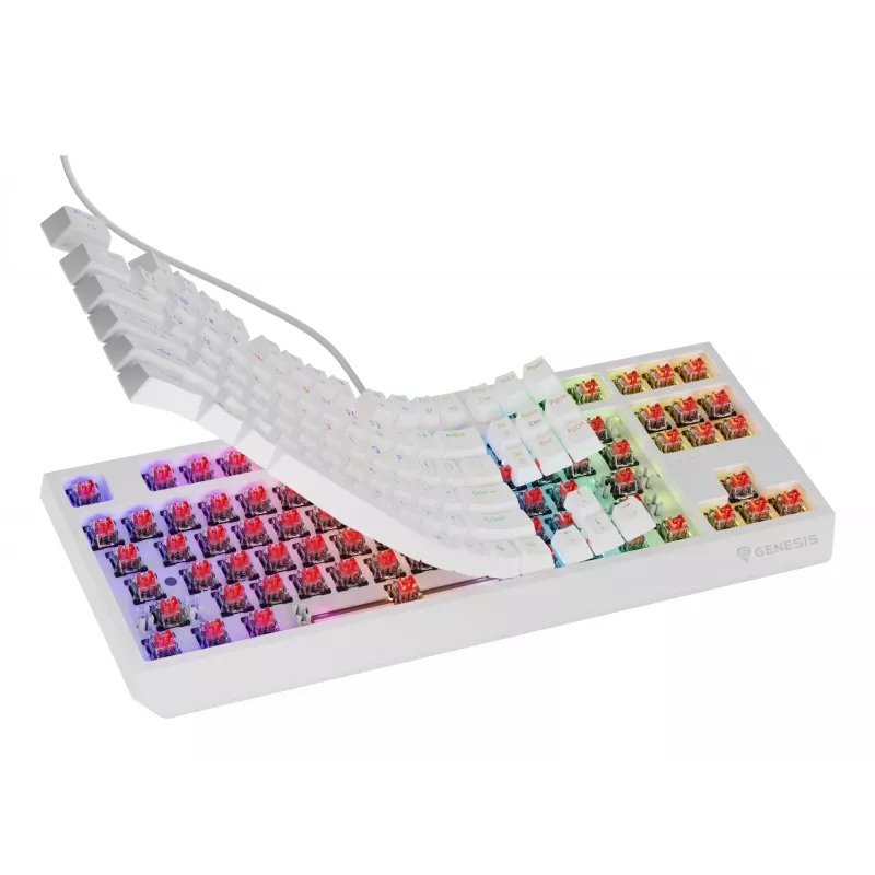 GENESIS Thor 230 TKL näppäimistö pelikäyttöön USB QWERTY US-englanti valkoinen