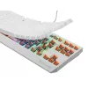 GENESIS Thor 230 TKL näppäimistö pelikäyttöön USB QWERTY US-englanti valkoinen