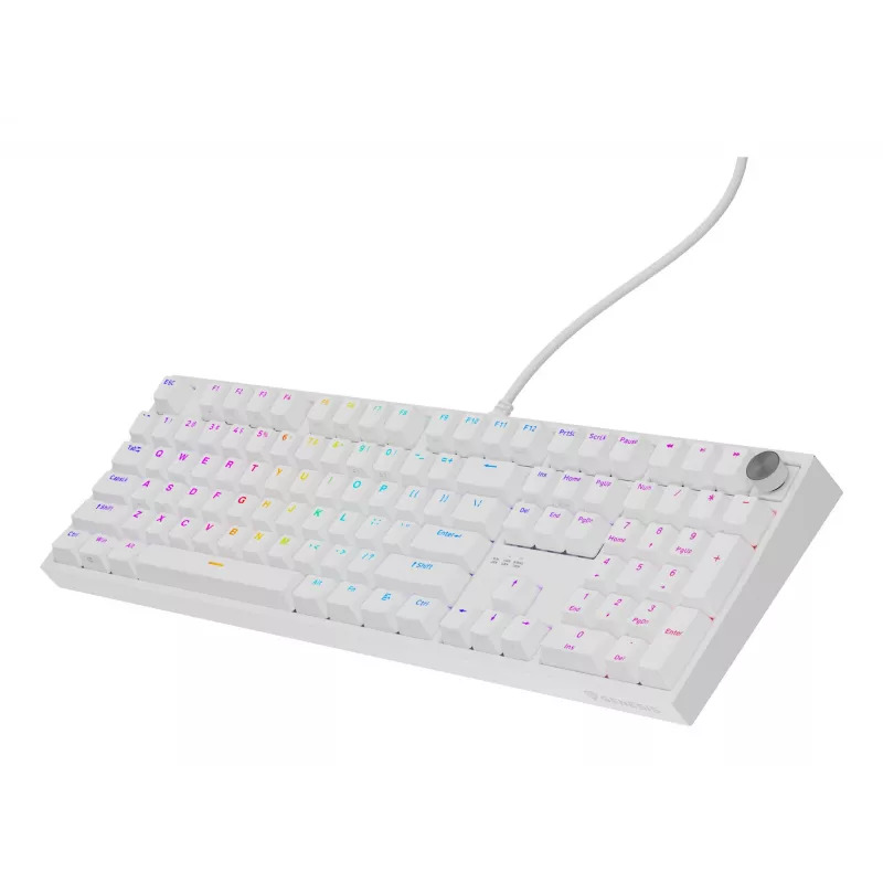 GENESIS NKG-2300 näppäimistö yleiskäyttöön USB QWERTY englanti valkoinen