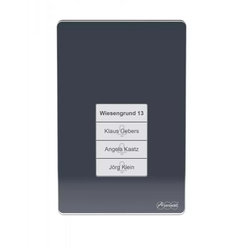 Auerswald TFS-Dialog 400 ovipuhelin, antrasiitti