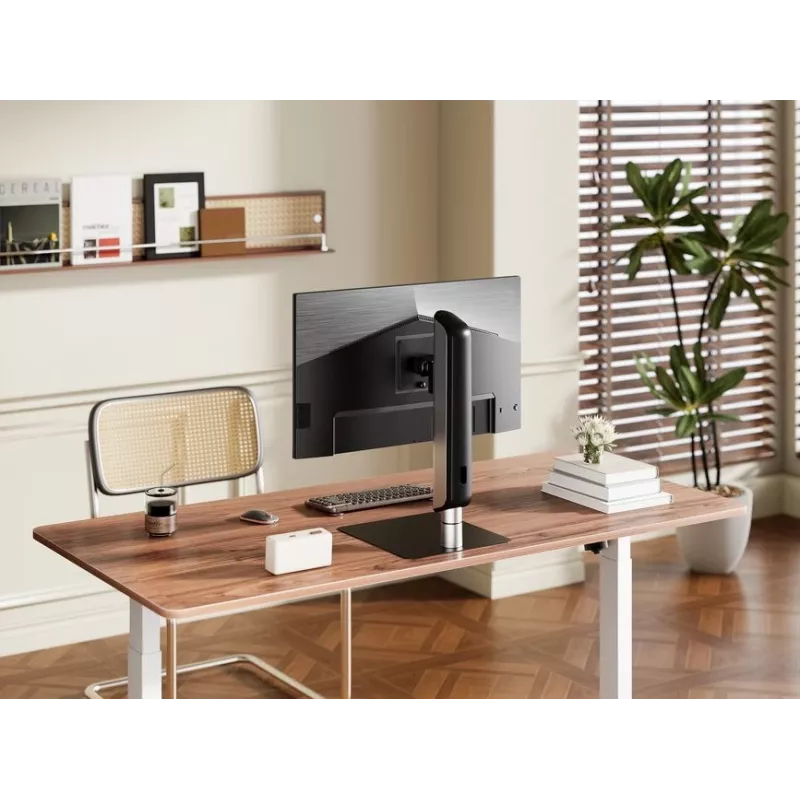 Equip 650129 TV-teline/jalusta 124,5 cm (49