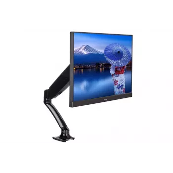 iiyama DS3001C-B1 näyttöteline / jalusta 68,6 cm (27