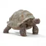 Figuuri, Schleich, WILD LIFE jättiläiskilpikonna