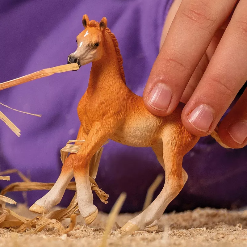 Schleich hevosfiguuri arabianvarsa malli 13984, ruskea, suositeltu ikä 5+