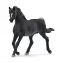 schleich HORSE CLUB arabianori, 5 vuosi/vuotta, hevoset, musta, harmaa, valkoinen, muovi