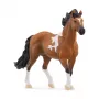 schleich HORSE CLUB Mangalarga Marchador ori, 5 vuotta, hevoset, musta, ruskea, valkoinen, muovi