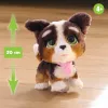 FurReal Walkalots bernedoodle pentu, poika/tyttö, 4 vuotta, äänillä