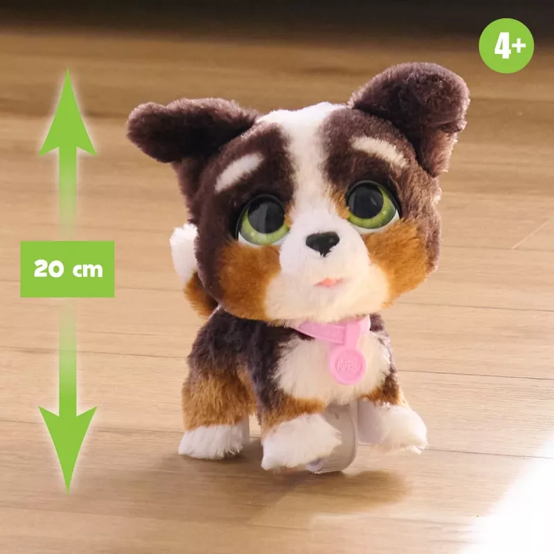 FurReal Walkalots bernedoodle pentu, poika/tyttö, 4 vuotta, äänillä