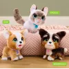 FurReal Walkalots bernedoodle pentu, poika/tyttö, 4 vuotta, äänillä