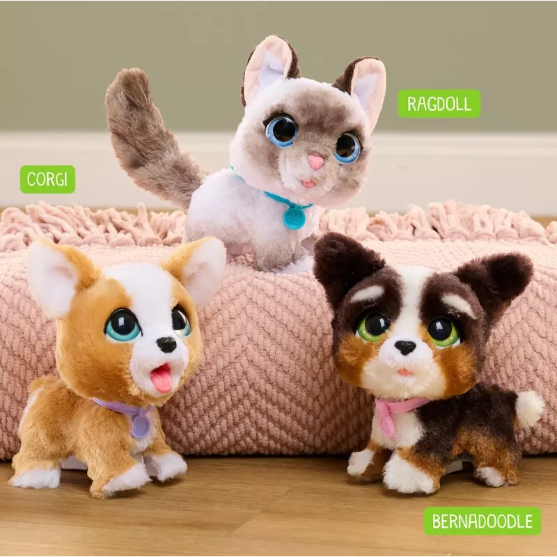 FurReal Walkalots bernedoodle pentu, poika/tyttö, 4 vuotta, äänillä