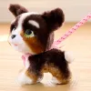 FurReal Walkalots bernedoodle pentu, poika/tyttö, 4 vuotta, äänillä