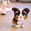 FurReal Walkalots bernedoodle pentu, poika/tyttö, 4 vuotta, äänillä