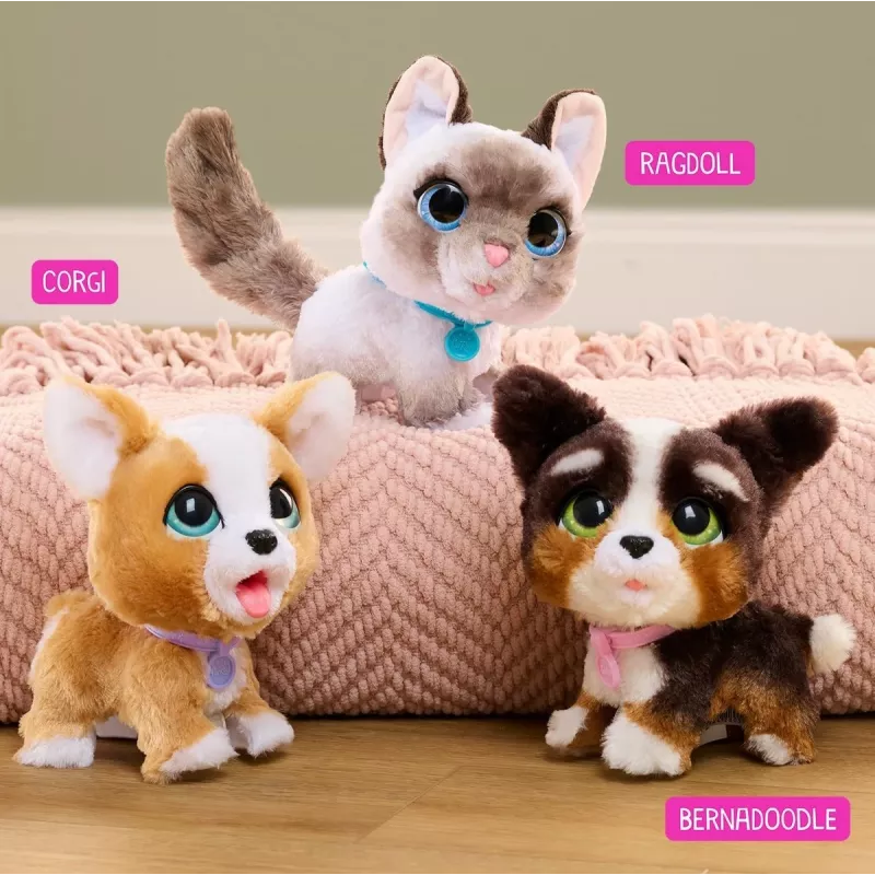 FurReal Poop-a-lots corgi, poika/tyttö, 4 vuosi/vuotta, soiva