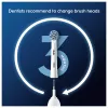 Oral-B Sensitive Clean -hammasharjanpäät 12 kpl valkoinen