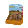 Schleich WILD LIFE karjuva leijona monivärinen muovi alkaen 3 vuotta