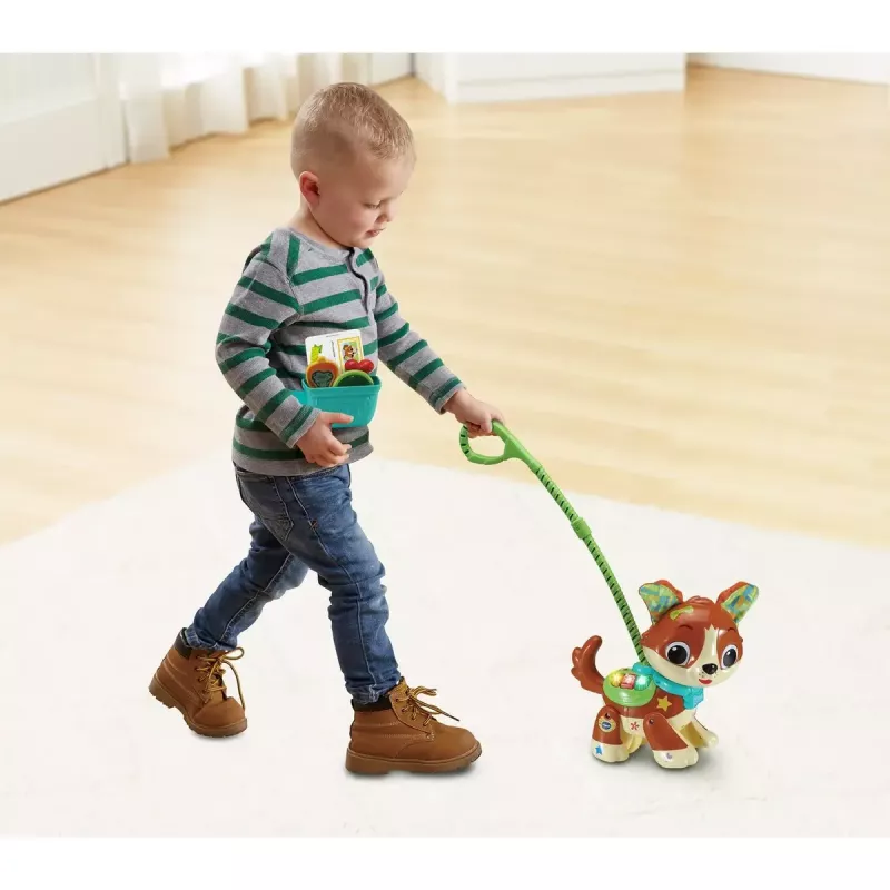 Leikkihahmo VTech Run With Me Puppy 80-552564 interaktiivinen oppimislelu äänillä ja liikkeellä