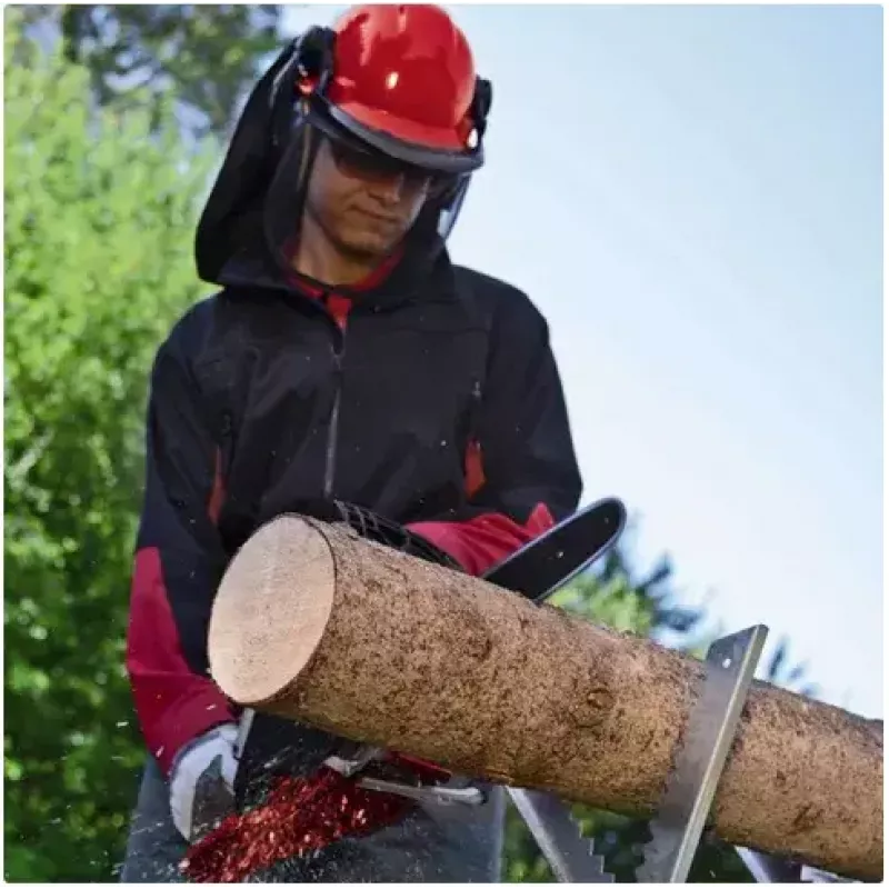 Moottorisaha Einhell GE-EC 2240 2200 W musta punainen
