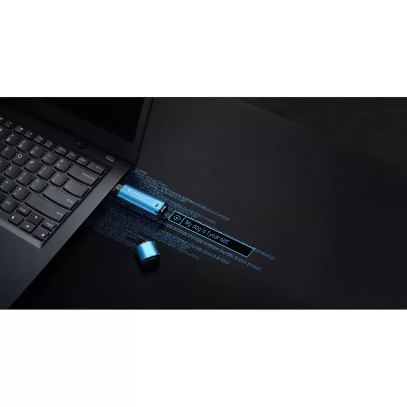 USB-muistitikku Kingston 256GB USB Type-A IronKey Vault Privacy 50