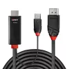 Lindy 1 m HDMI - DisplayPort -kaapeli HDMI USB Type-A DisplayPort