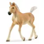schleich HORSE CLUB Haflinger-varsa, 5 vuotta, hevoset, beige, ruskea, muovi