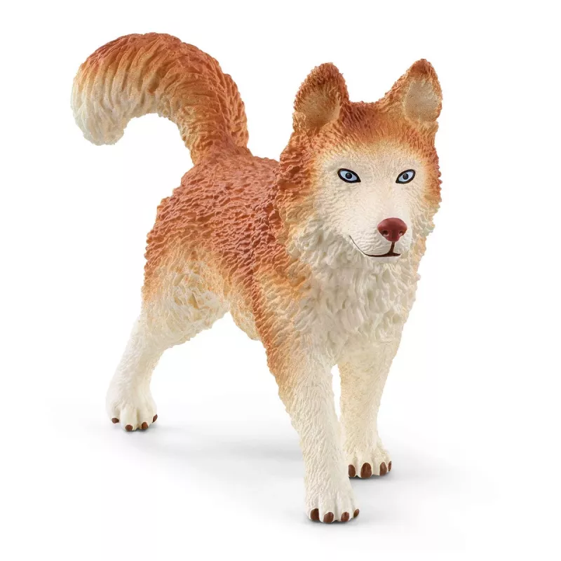Zoo Schleich WILD LIFE Antarktis-retkikunta monivärinen 42558