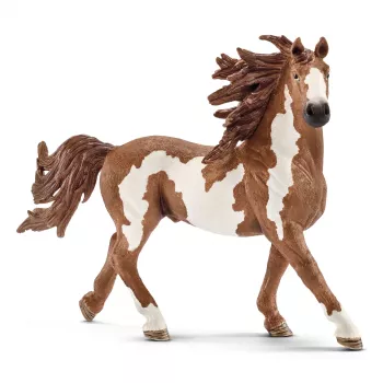 schleich FARM WORLD Pinto-oriori, 3 vuotta, maatilan eläimet / maatilalelut, hevoset, monivärinen, muovi, 1 kpl