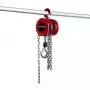 Ketjunostin Einhell TC-CH 1000 1000 kg 2,5 m punainen hopea