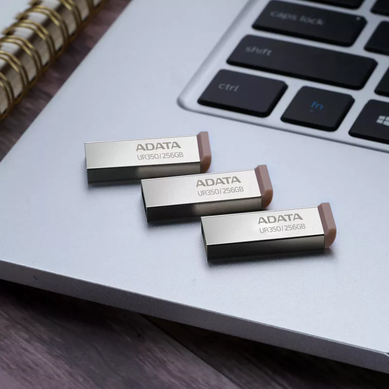 ADATA UR350 USB-muistitikku 256 GB USB Type-A 3.2 Gen 1 (3.1 Gen 1) musta, hopea