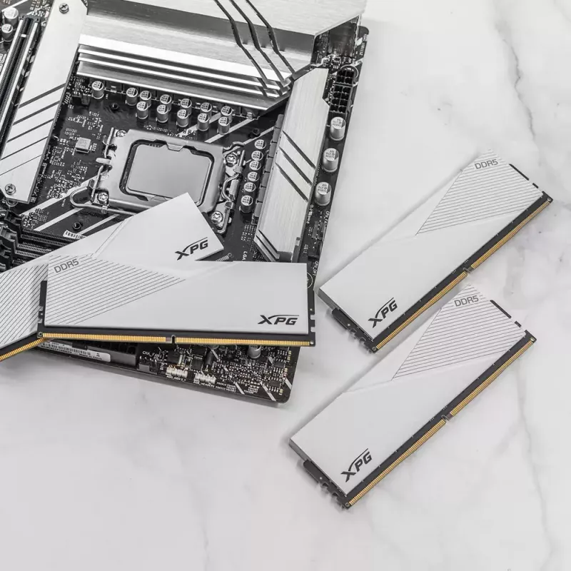 DIMM 16 GB DDR5-6000, muisti valkoinen, AX5U6000C3016G-CLAWH, Lancer, INTEL XMP