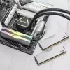 DIMM 64 GB DDR5-6000 (2x 32 GB) Dual-Kit, muisti valkoinen, AX5U6000C3032G-DCLARWH, Lancer RGB, INTEL XMP