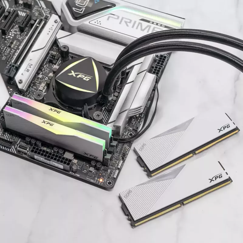 DIMM 64 GB DDR5-6000 (2x 32 GB) Dual-Kit, muisti valkoinen, AX5U6000C3032G-DCLARWH, Lancer RGB, INTEL XMP