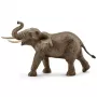 schleich WILD LIFE afrikannorsu, uros, 3 vuosi/vuotta, safari, villieläimet / seikkailulelut, monivärinen, muovi, 1 kpl