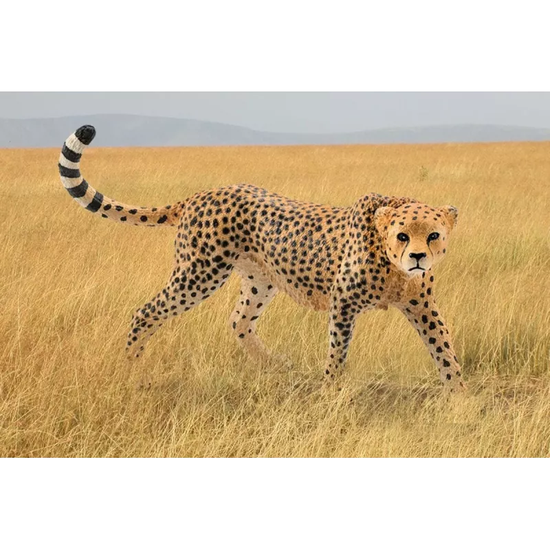 Figuuri Schleich WILD LIFE gepardi naaras 14746