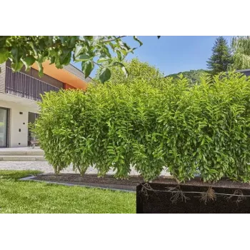 Tippukastelujärjestelmä Gardena 13500-20