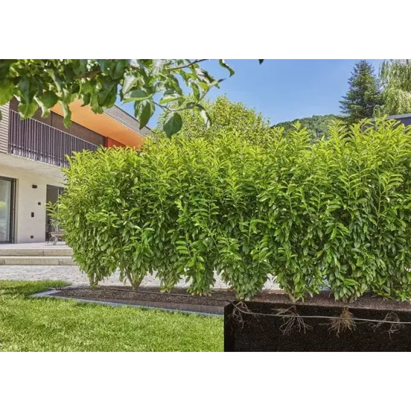 Tippukastelujärjestelmä Gardena 13500-20