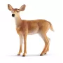 Figuuri Schleich WILD LIFE valkohäntäkaurisnaaras