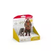 schleich Hagrid & Fang, 6 vuotta, Harry Potter™, monivärinen, muovi