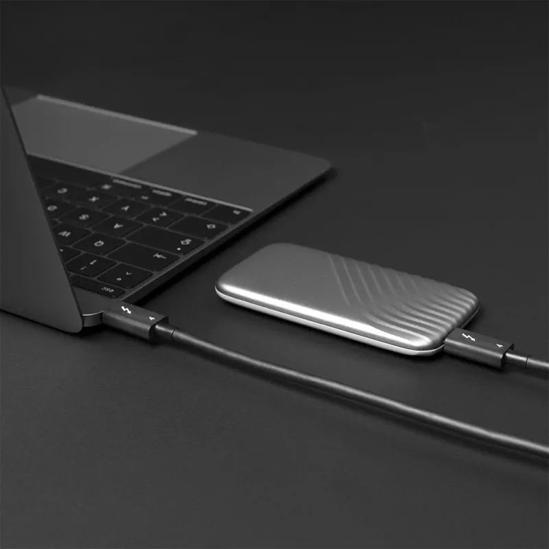 Lindy 1 m Thunderbolt 4 -kaapeli, 40 Gbit/s, passiivinen, uros, uros, 1 m, 40 Gbit/s, musta, nikkeli/kulta