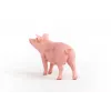 Schleich maatilan sika -figuuri 13933, vaaleanpunainen, suositeltu ikä 3+
