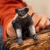 Figuuri Schleich WILD LIFE Indri monivärinen 14877S suositeltu ikä 3 vuotta