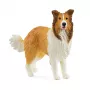schleich FARM WORLD collie, 3 vuosi/vuotta, maatila, maatilan eläimet / maatilalelu, monivärinen
