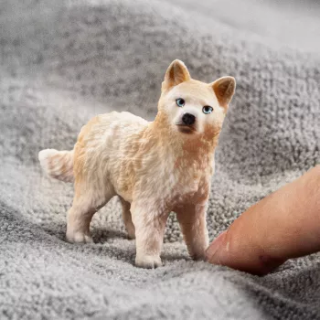 schleich WILD LIFE Jääkarhun pentu, 3 vuotta, jää & valtameri, villieläimet / seikkailulelut, monivärinen